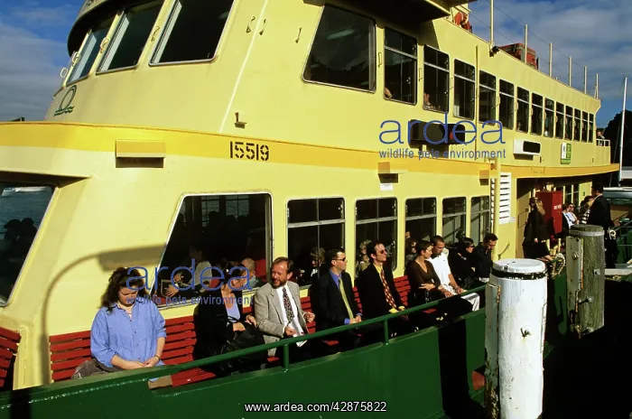 : Commuters on board a Harbour ferry going to work : Commuters on board a Harbour ferry going to work