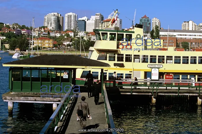 : Commuters boarding ferry at Kurraba Point wharf : Commuters boarding ferry at Kurraba Point wharf