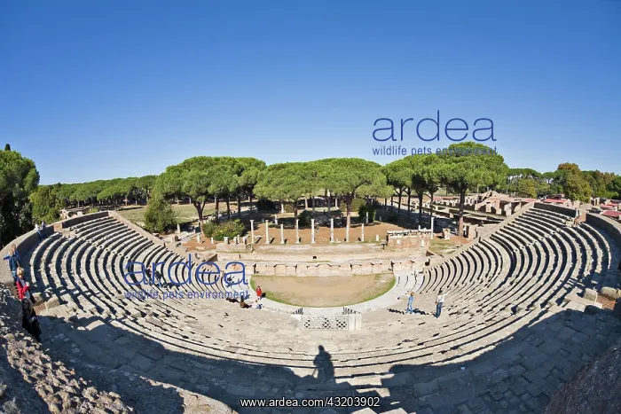 : Complete view of the amphitheatre at Ostia Antica : Complete view of the amphitheatre at Ostia Antica