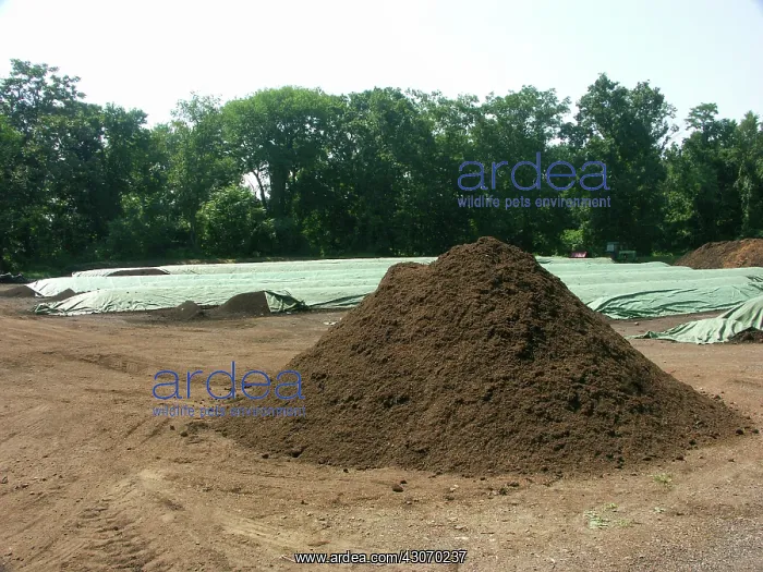 : Compost : Compost