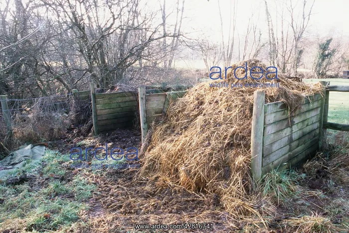 : COMPOST HEAP : COMPOST HEAP