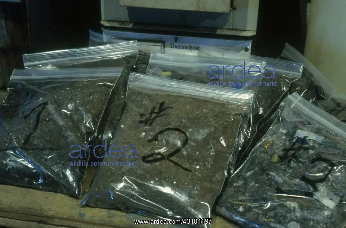 : Compost Samples : Compost Samples