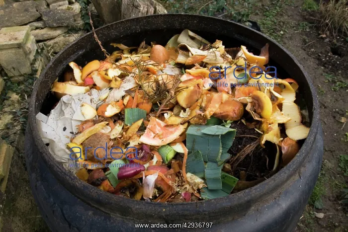 : Compost - variety of kitchen waste including vegetable : Compost - variety of kitchen waste including vegetable
