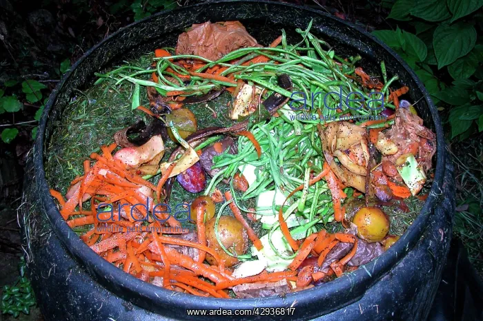  : Compost - variety of kitchen waste including vegetable