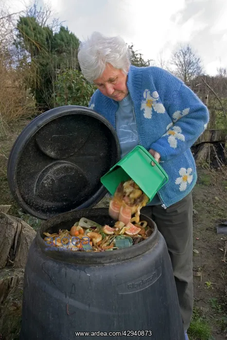 : Compost - woman tipping variety of kitchen waste : Compost - woman tipping variety of kitchen waste