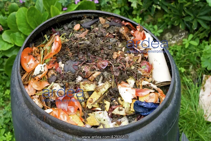 : Compost / wormery - worms visible amongst variety : Compost / wormery - worms visible amongst variety