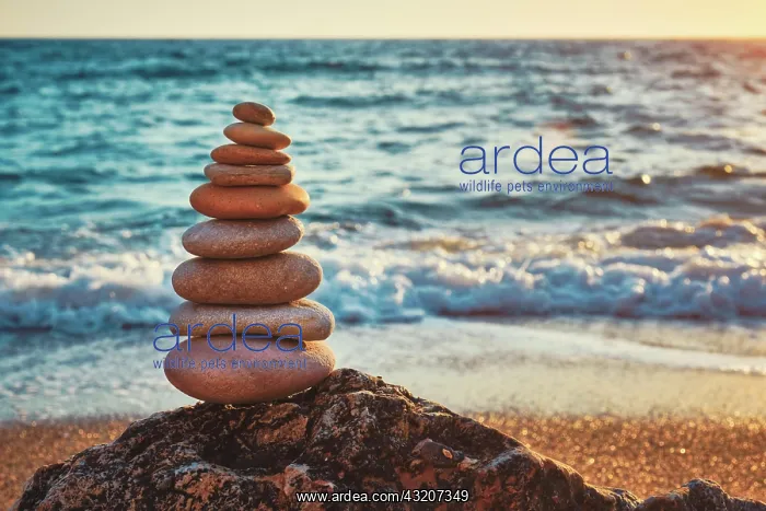 : Concept of balance and harmony. Cairn stack of s : Concept of balance and harmony. Cairn stack of s
