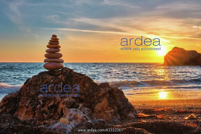 : Concept of balance and harmony, stack of stones : Concept of balance and harmony, stack of stones