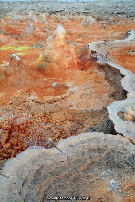 : Concretions coloured by sulphur, potassium and iron : Concretions coloured by sulphur, potassium and iron