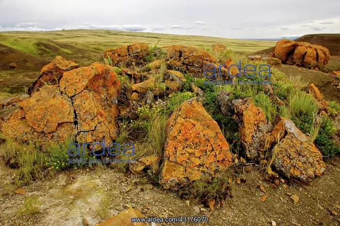 : Concretions Litter landscape, Red Rock Coulee : Concretions Litter landscape, Red Rock Coulee