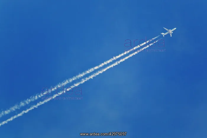 : Condensation Trails and Airliner : Condensation Trails and Airliner