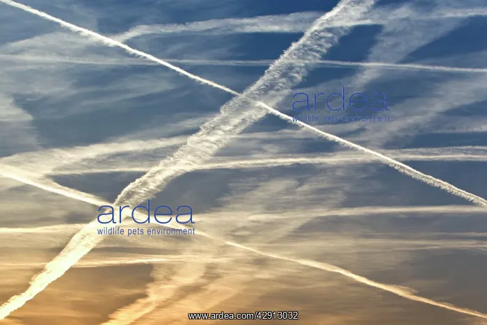 : Condensation / Vapour Trails - from airliners : Condensation / Vapour Trails - from airliners