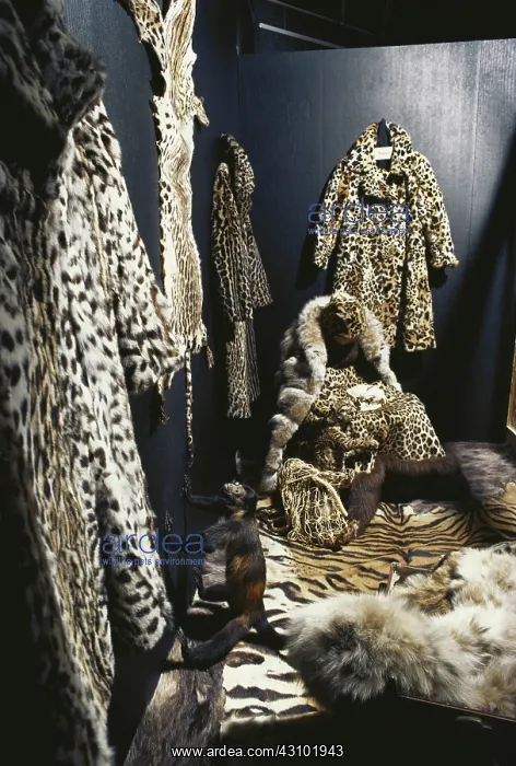 : Confiscated Animal Products : Confiscated Animal Products