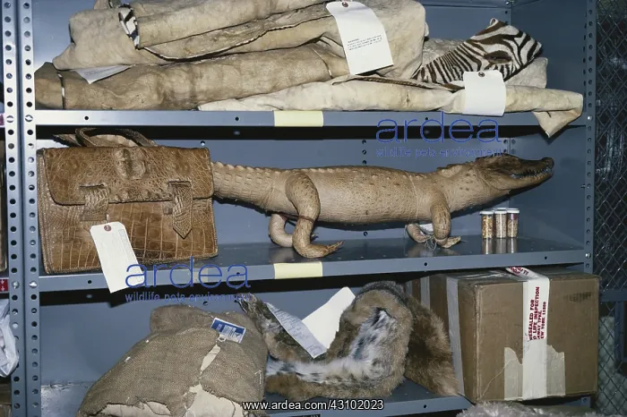  : Confiscated Wildlife Products
