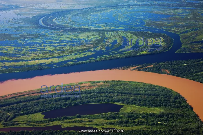 : The confluence of the Itenez river and the Mamore river : The confluence of the Itenez river and the Mamore river