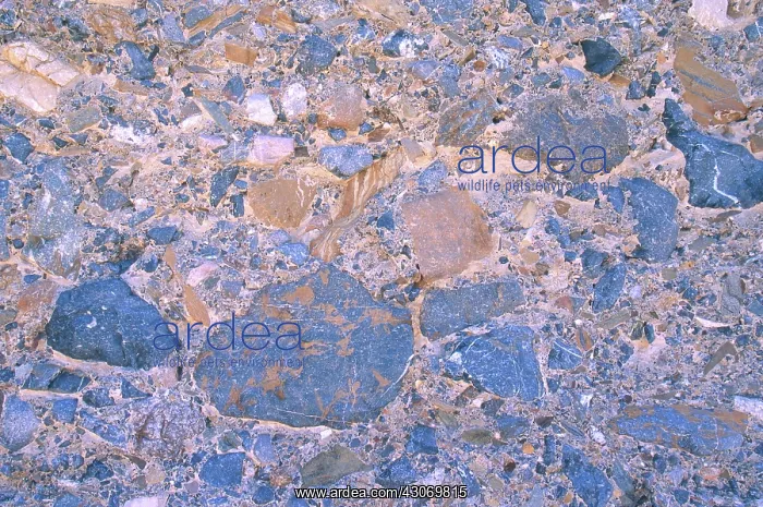 : Conglomerate in Death Valley : Conglomerate in Death Valley