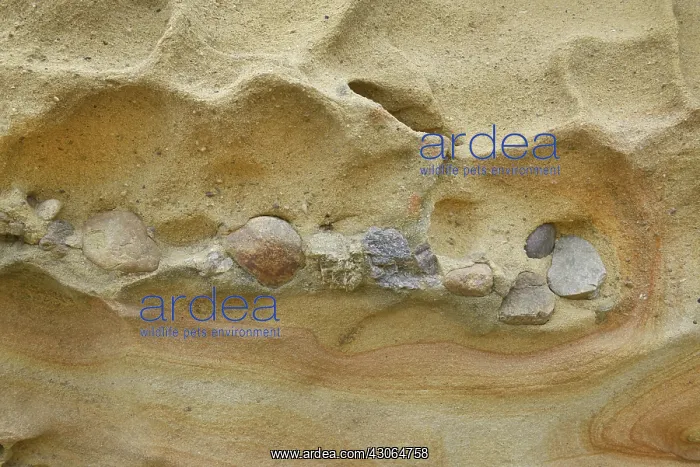 : Conglomerate Rock : Conglomerate Rock