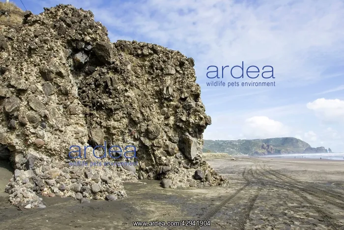 : Conglomerate rock outcrops : Conglomerate rock outcrops