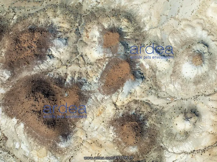 : Conical rocks, so-called Prince Albert formations : Conical rocks, so-called Prince Albert formations