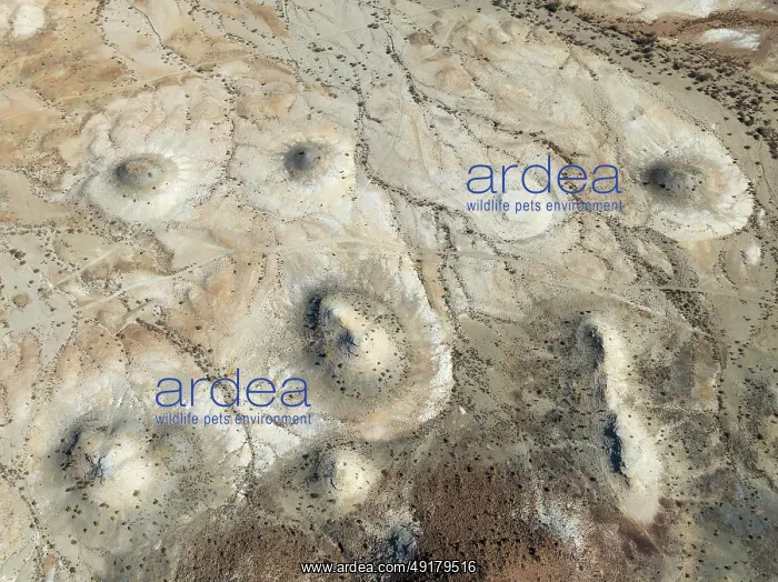 : Conical rocks, so-called Prince Albert formations : Conical rocks, so-called Prince Albert formations