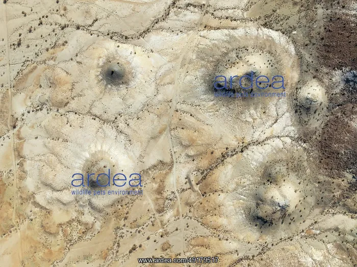 : Conical rocks, so-called Prince Albert formations : Conical rocks, so-called Prince Albert formations