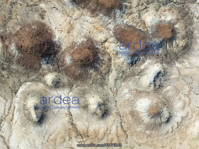 : Conical rocks, so-called Prince Albert formations : Conical rocks, so-called Prince Albert formations