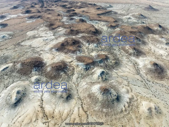 : Conical rocks, so-called Prince Albert formations : Conical rocks, so-called Prince Albert formations