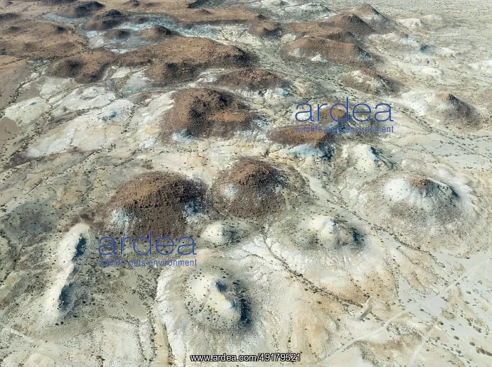  : Conical rocks, so-called Prince Albert formations