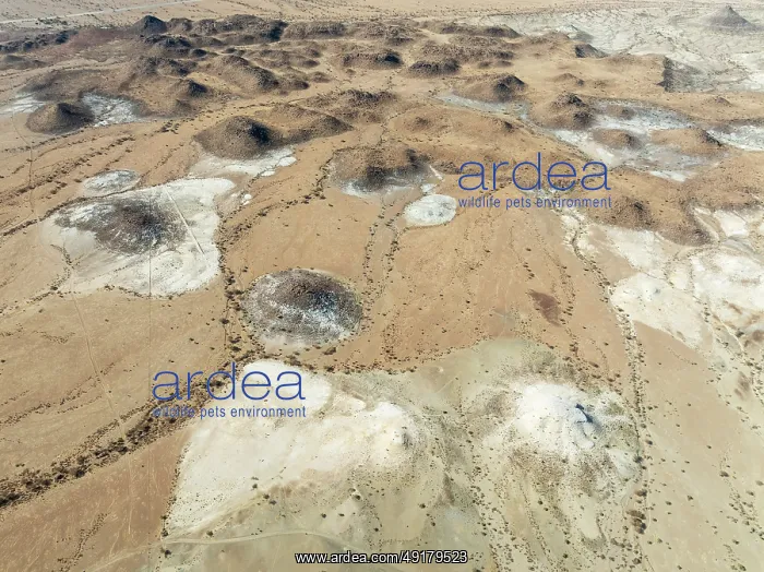 : Conical rocks, so-called Prince Albert formations : Conical rocks, so-called Prince Albert formations