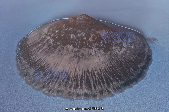 : Cono de Arita, Salar de Arizaro, Aerial View, Salta : Cono de Arita, Salar de Arizaro, Aerial View, Salta