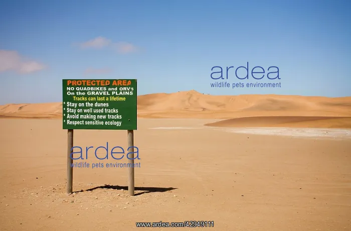 : Conservation board at the begging of the Dune Sea : Conservation board at the begging of the Dune Sea