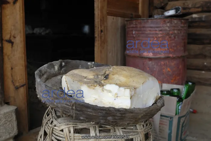 : Conservation of meatin village Moso Yunnan : Conservation of meatin village Moso Yunnan