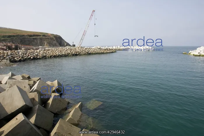 : Constructing new breakwater outside harbour : Constructing new breakwater outside harbour
