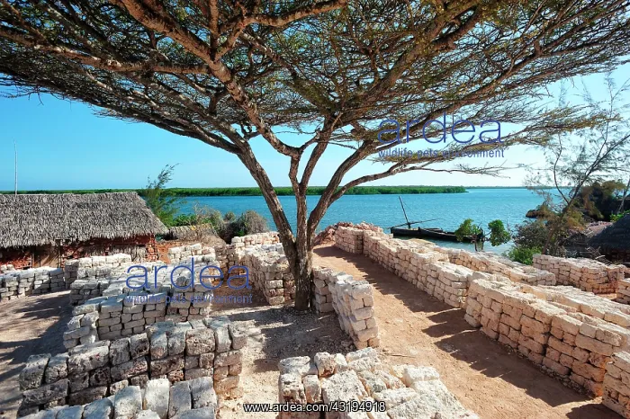 : for construction of houses : for construction of houses