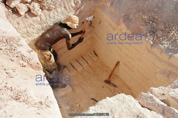 : for construction of houses : for construction of houses
