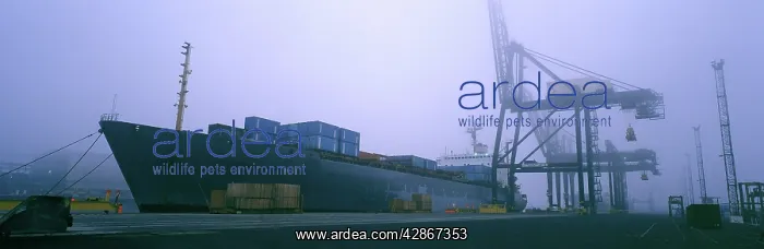 : Container ship - At dock : Container ship - At dock
