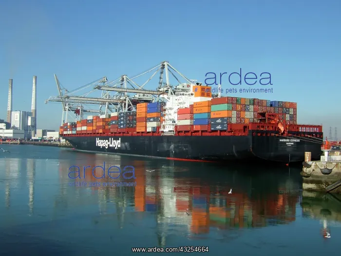 : Container Ship, Le Havre, Normandy, France : Container Ship, Le Havre, Normandy, France