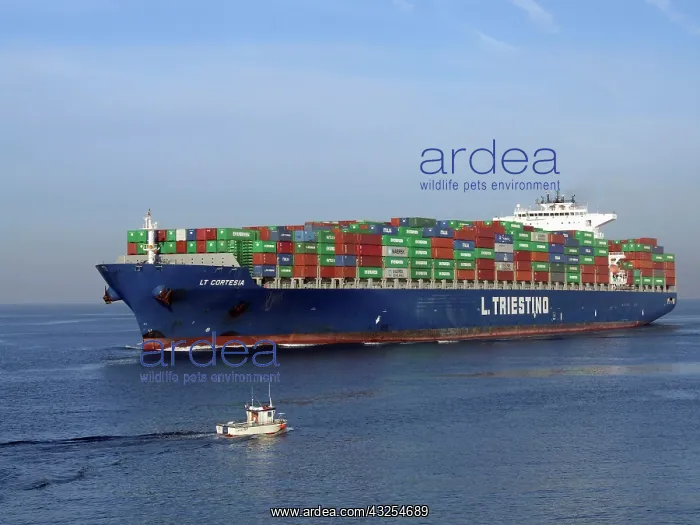 : Container Ship, Le Havre, Normandy, France : Container Ship, Le Havre, Normandy, France