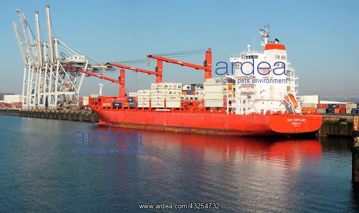 : Container Ship, Port, Le Havre, Normandy : Container Ship, Port, Le Havre, Normandy
