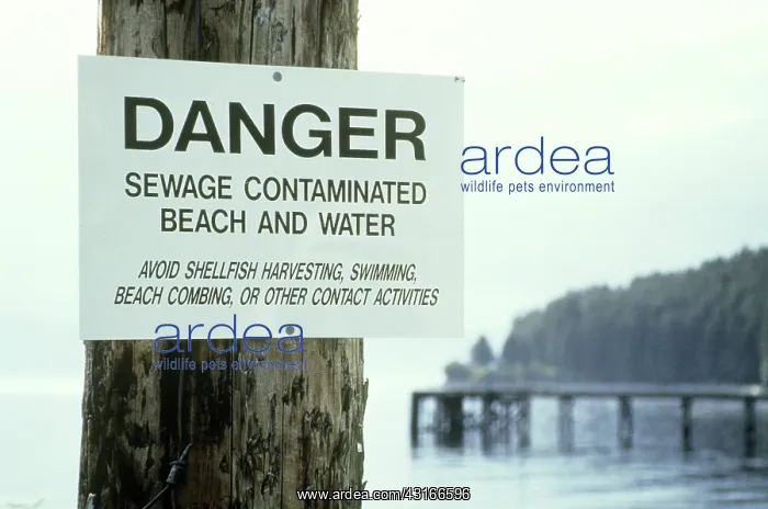 : Contaminated Water : Contaminated Water