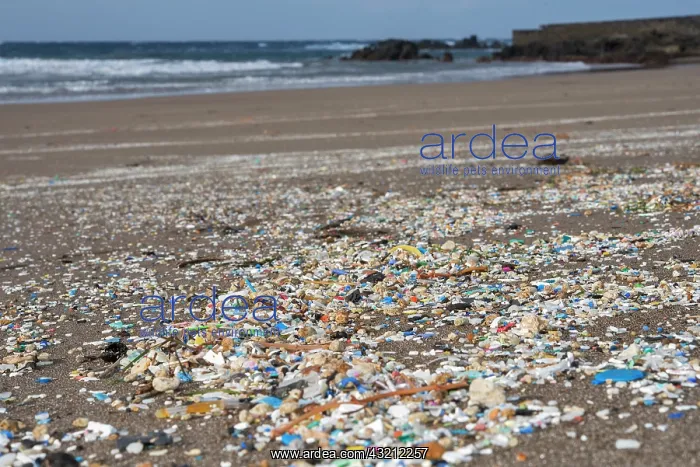 : Contamination. Troops of plastic and microplastics : Contamination. Troops of plastic and microplastics