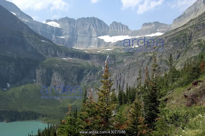 : Continental Divide : Continental Divide