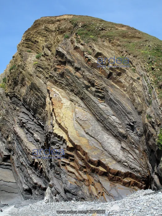 : Contorted and tilted sandstone strata : Contorted and tilted sandstone strata