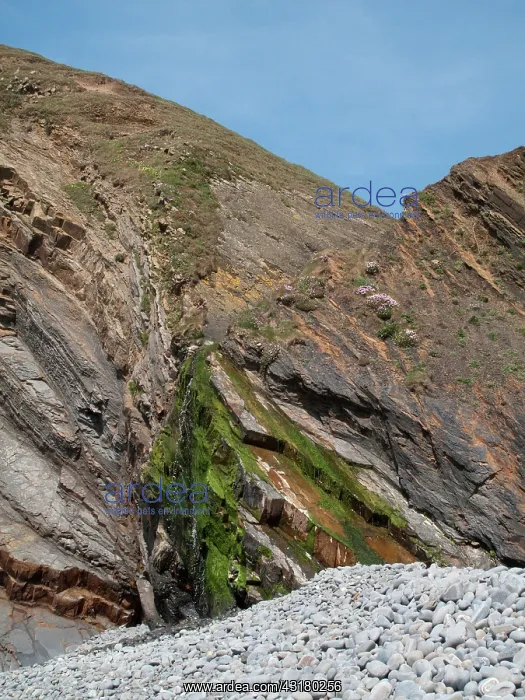 : Contorted and Tilted Sandstone Strata : Contorted and Tilted Sandstone Strata