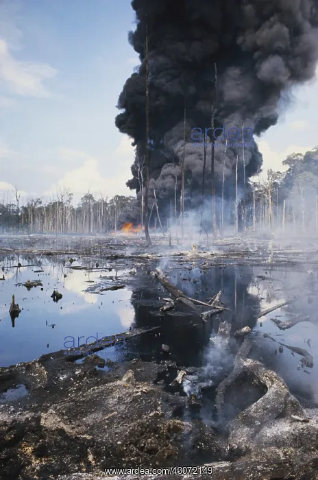 : Controlled Burn of Seepage Oil, Indonesia : Controlled Burn of Seepage Oil, Indonesia