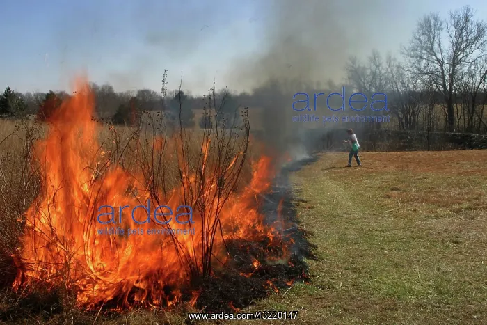  : Controlled burning of the prairie