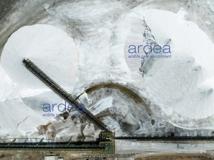 : Conveyor belt and salt heaps at the Walvis Bay Salt works : Conveyor belt and salt heaps at the Walvis Bay Salt works