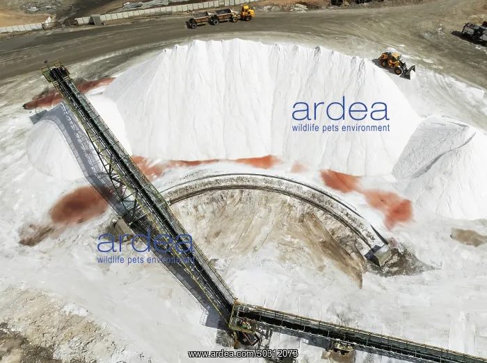 : Conveyor belt and salt heaps at the Walvis Bay Salt works : Conveyor belt and salt heaps at the Walvis Bay Salt works