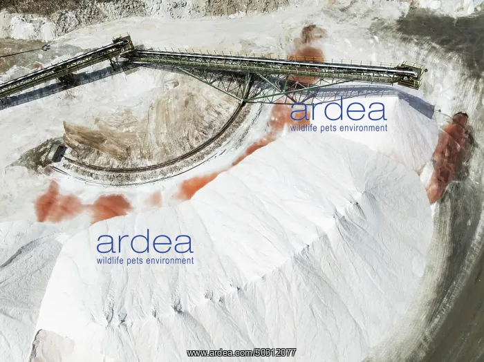 : Conveyor belt and salt heaps at the Walvis Bay Salt works : Conveyor belt and salt heaps at the Walvis Bay Salt works