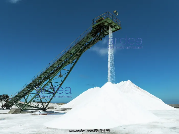 : Conveyor belt and salt heaps at the Walvis Bay Salt works : Conveyor belt and salt heaps at the Walvis Bay Salt works